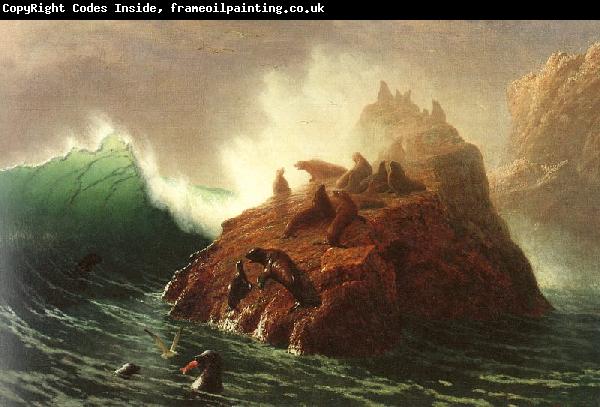 Albert Bierstadt Seal Rock
